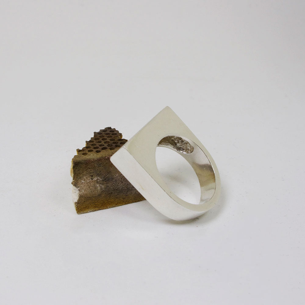 Anillo Rectangular