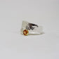 Anillo Cruzado